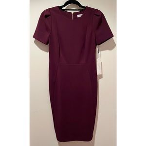 NWT Calvin Klein Dress size 6